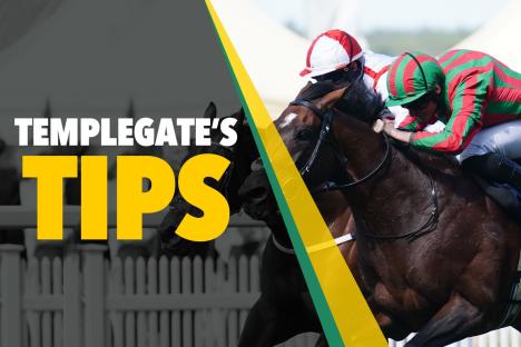 Horse racing tips: ‘Sprinting is his game’ – Templegate’s 7-2 NAP can strike at Ascot