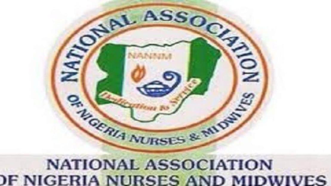 Strike: Kwara NANNM sympathizes with patients, urges Nigerian govt to act