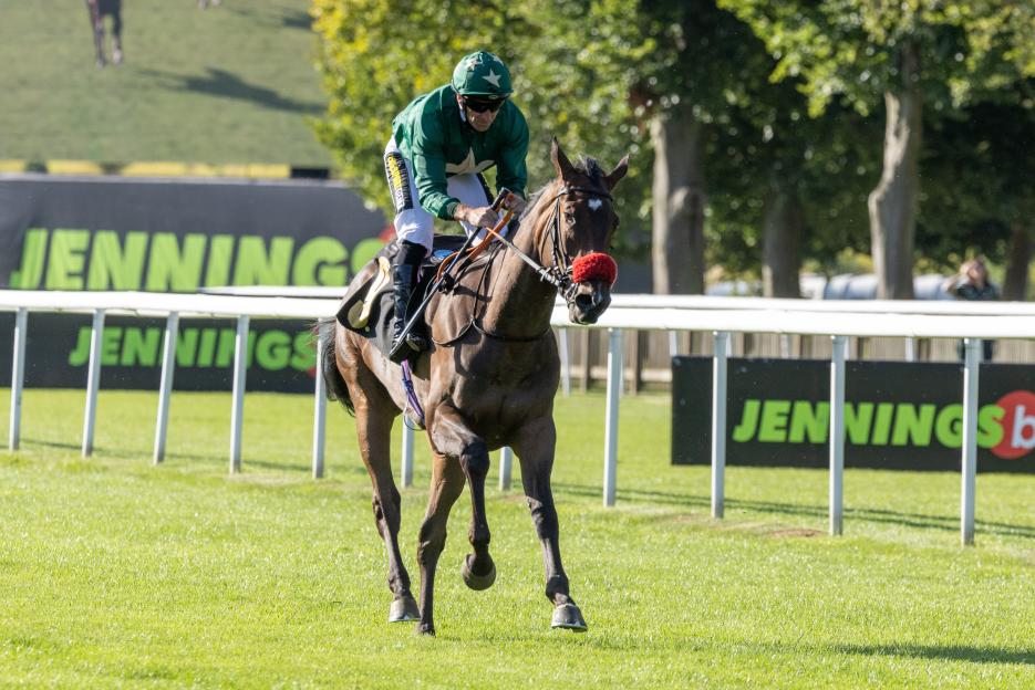 Horse race at Newmarket.