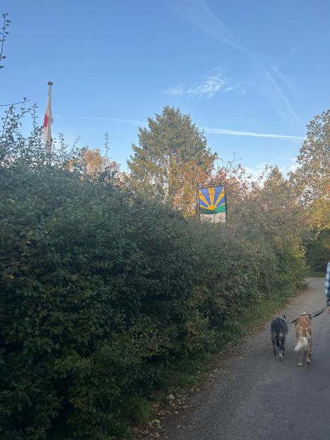 A path with a person walking two dogs and a sign for "The Rising Sun" pub.