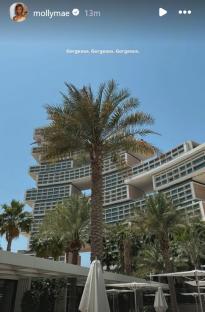 Palm trees and a modern building in Dubai.