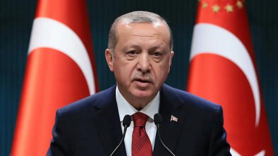 ‘You’ll fail’ – Turkey President, Erdoğan warns those against Islamization of northern Cyprus