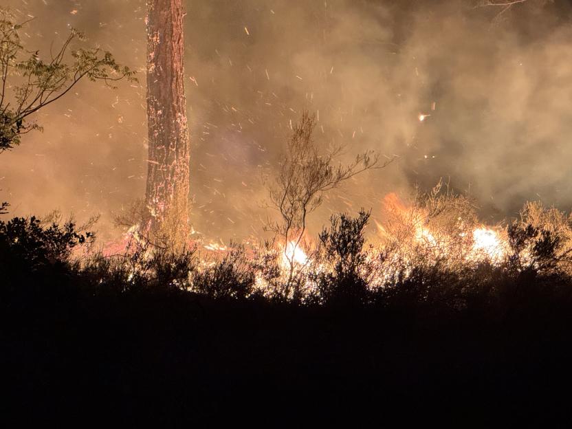 A wildfire burns through a forest at night, with flames visible among the trees and smoke filling the air.