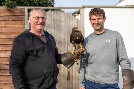 Two men with a Harris's hawk.