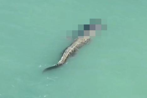 Horror moment crocodile seen clutching dead swimmer’s body in its jaws near the shore in front of screaming onlookers