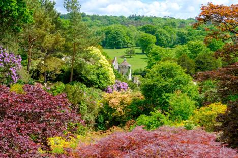 Scotney Old Castle gardens in Kent, UK, with azaleas and rhododendrons.
