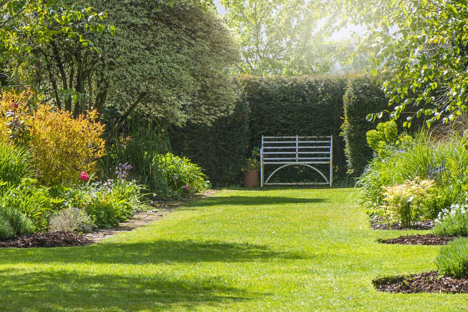 10 drought-tolerant plants you can get from B&Q for as little as £2.99 – they survive extreme heat & look pretty too