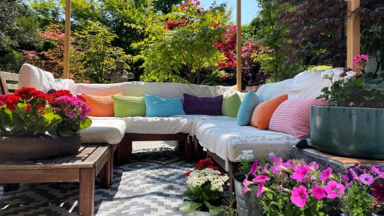 The decorating rules you must follow depending on the direction your garden faces & shade mistake you should never make