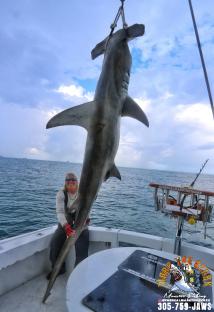 Man holding a large hammerhead shark on a boat.