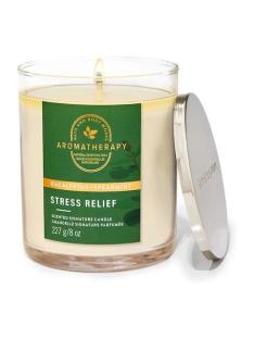 Bath & Body Works Clear Eucalyptus Spearmint candle.
