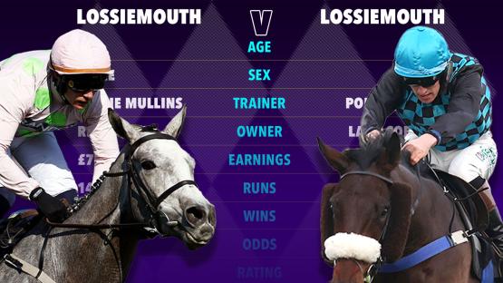 Confusion reigns as two horses with same name set to run in £80,000 ‘battle of the ages’ at Sandown