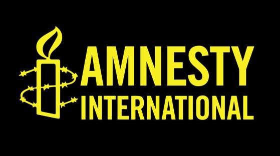 Amnesty International condemns killing of 51 residents in fresh Plateau attack