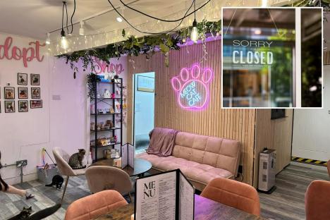 Popular cat cafe to shut branch after two years as owner says she’s closing with a ‘heavy heart’ over rising costs