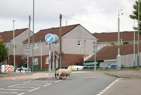 12.05.25 - Picture shows Rhymney, in Blaenau Gwent, South Wales. One in 30 people in Rhymney are claiming benefits for anxiety a higher proportion than anywhere else in Britain.