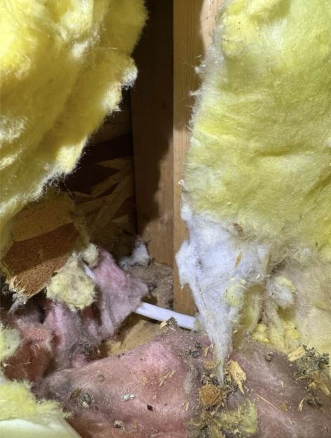 Mold found in a home's wall insulation.