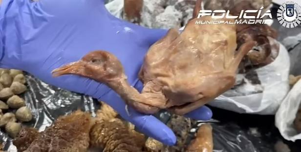 Chinese restaurant in Brit tourist hotspot caught serving street PIGEONS as ‘roasted duck’ to unsuspecting diners