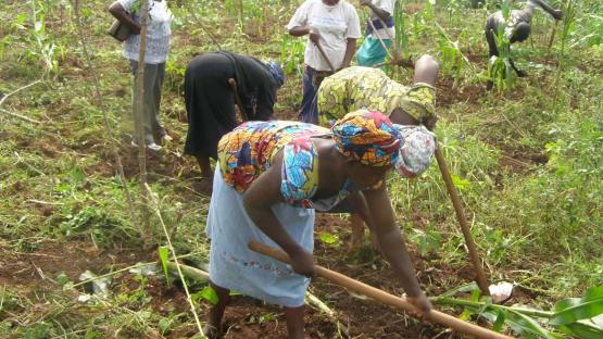 Tiv farmers protest alleged land seizure by Nasarawa government