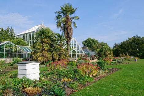 CEG46G Glasshouses at the Cambridge University Botanic Garden