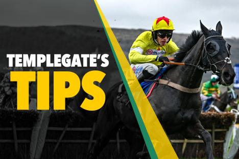 Horse racing tips: ‘Derby entry shows how good this lad could be’ – Templegate’s Friday NAP on the Flat at Newbury