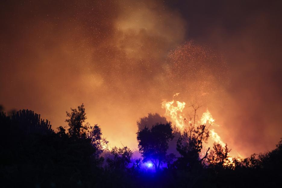 Forest fire at night.