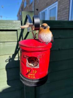 Bird perched on a red bird feeder shaped like a postbox.