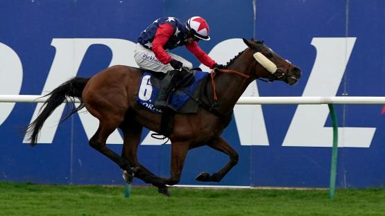 Scottish Grand National horse numbers 2025 – full list of runners and riders for Ayr showpiece