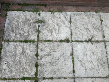Weathered patio stones with weeds growing in the cracks.
