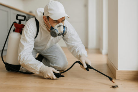 Maximize Your Home’s Longevity with Effective Pest Control Services