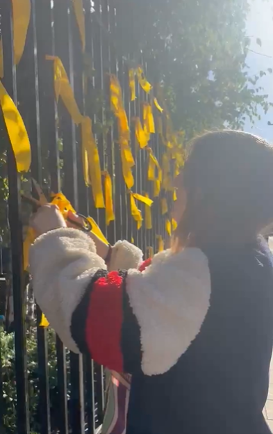 Bystanders Erupt in Anger as Woman Cuts Down Yellow Ribbons for Israeli Hostages in Gaza