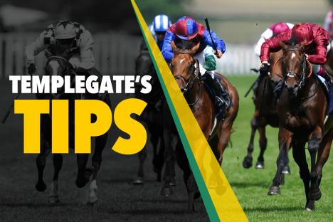 Horse racing tips: ‘Loads to offer for the Gosdens’ – Templegate’s NAP full of Derby promise