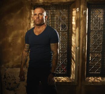 Dominic Purcell in Prison Break.