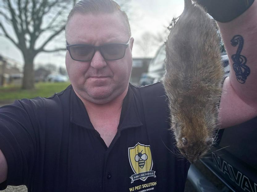 Pest control worker holding a dead rat.