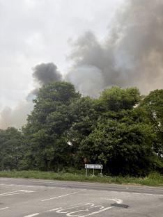 Smoke from a fire near trees and a road.