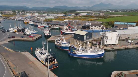 Aerial view of a harbor with many fishing boats.
