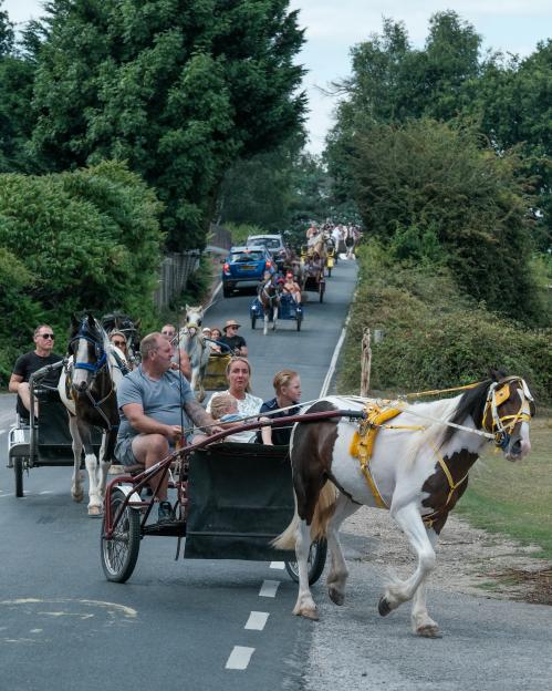 Horse-drawn carriages on a road.