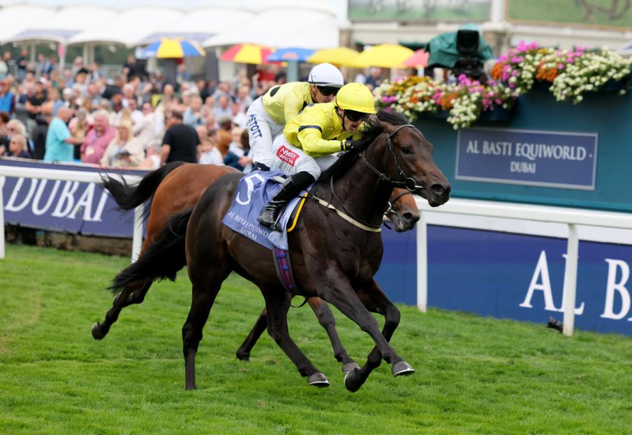 Exciting Gimcrack winner Lifeplan not for sale – and his Group 1 target has been confirmed