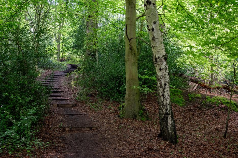 Man in his 20s found dead in nature reserve that inspired Narnia