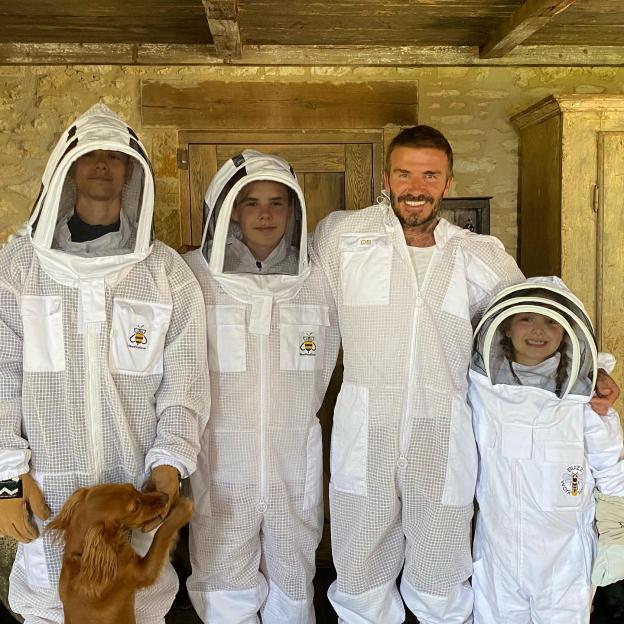 Romeo, Cruz, David, and Harper Beckham in beekeeping suits with their dog.