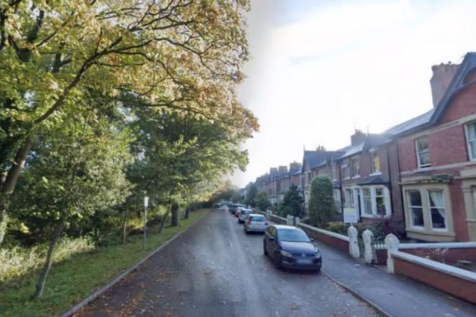 Bones found in cellar on sleepy residential street are confirmed as HUMAN as cops probe ‘burial site’