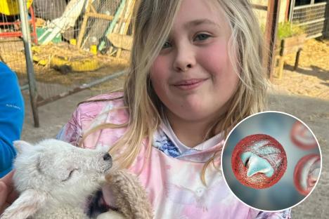 76 people ‘horrendously ill’ and 16 in hospital with parasite infection after ‘petting session’ at kids’ farm
