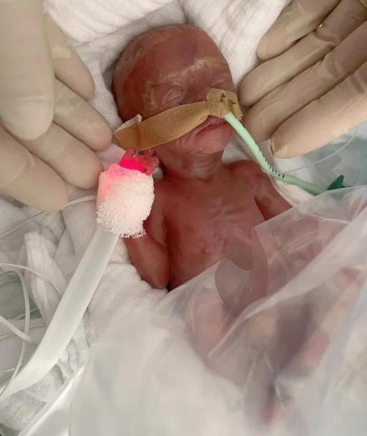 NINTCHDBPICT001036103275