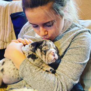Girl holding and kissing a merle bulldog puppy.