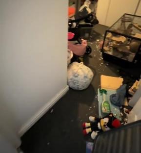 A cluttered two-bedroom apartment with a new baby on the way.