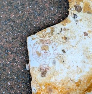 Fragment of a plate with the Cunard Steamship Company logo.