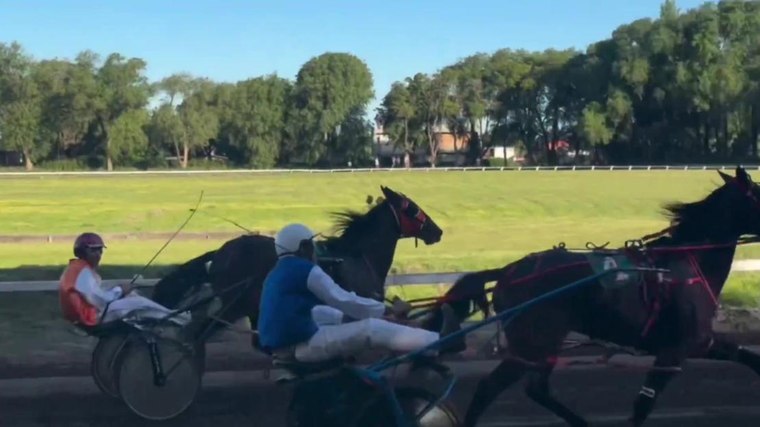UFC Icon Achieves Lifelong Dream by Winning Prestigious Horse Racing Championship!