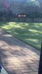 Brick path next to a sunny lawn with a flamingo garden ornament.