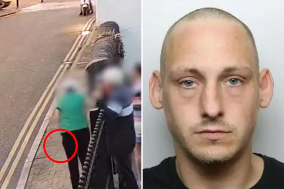 Horror moment gunman opens fire during pub brawl and shoots landlady as she tries to break up fight