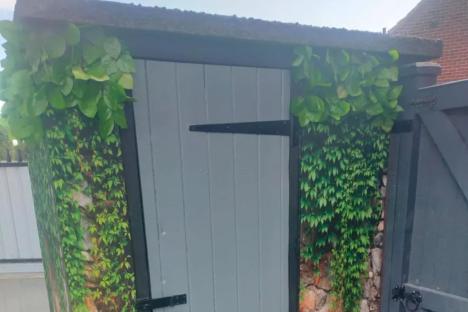 I turned my ugly outhouse into a stunning feature – folk say it’s the best £10 Shein transformation they’ve seen