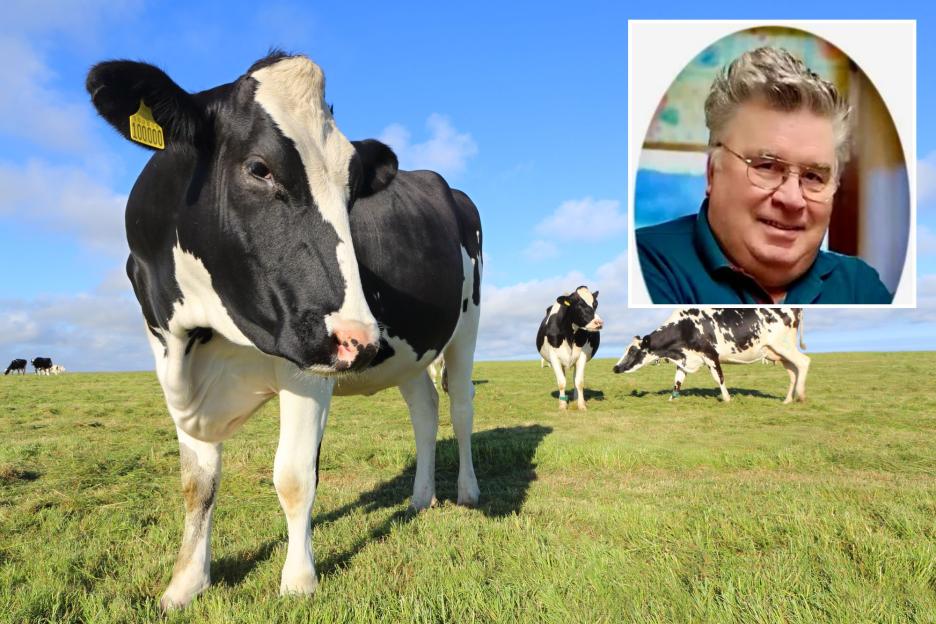 Man trampled to death by cow which pinned him to wall, tossed him to ground & stamped on him
