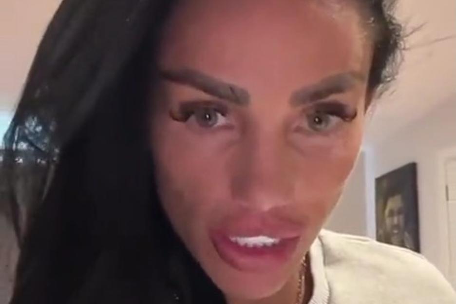 Katie Price reveals pet tragedy after her cat gives birth to kittens